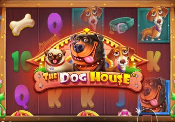 NOVOMATIC - игровой автомат онлайн от Various с RTP 97.3%